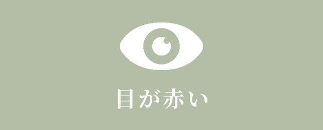 目が赤い