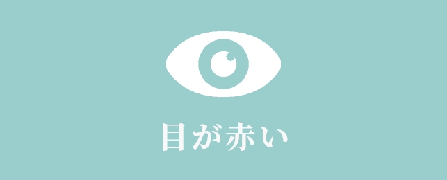 目が赤い